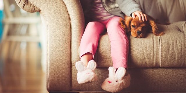 servicio a domicilio